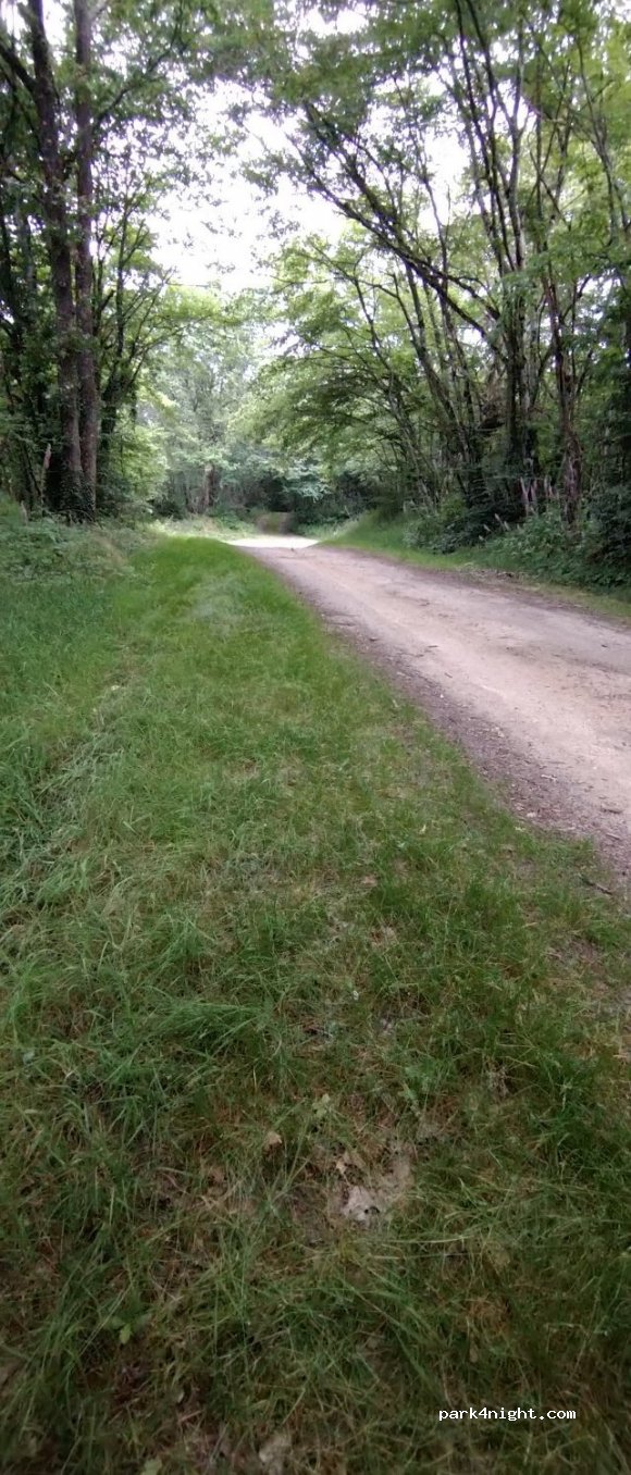 (58250) Montambert - Les Champs Duvignot — foto