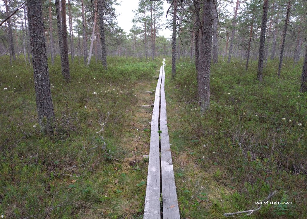 (819 66)  - 209 RISÖN — foto 4