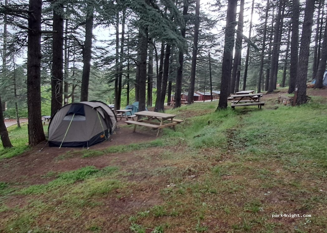Red Mountain National Park — foto 2