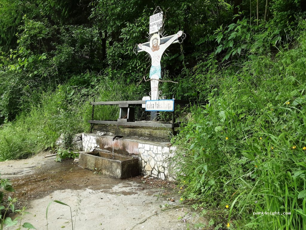 (106100) Sinaia - Calea Valea Larga — foto 2