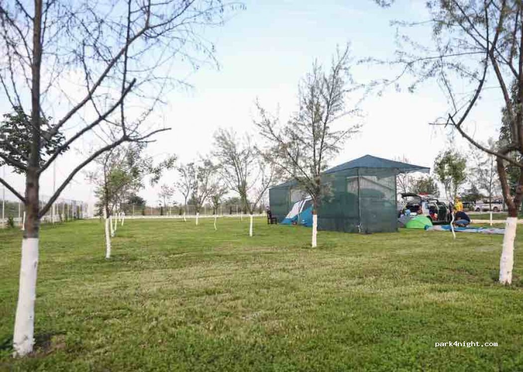 Camping Bya — foto 3