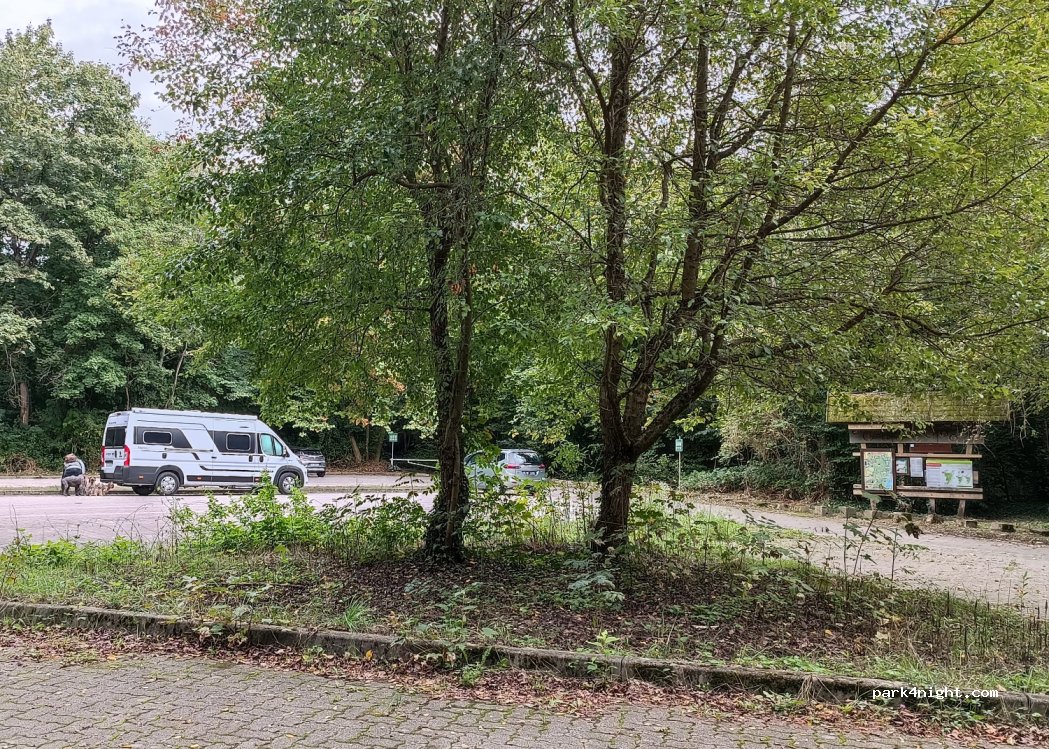(67000) Strasbourg - 427 Route de la Wantzenau — foto 2