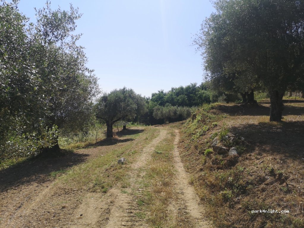 (89844) Comerconi VV - Unnamed Road — foto 3
