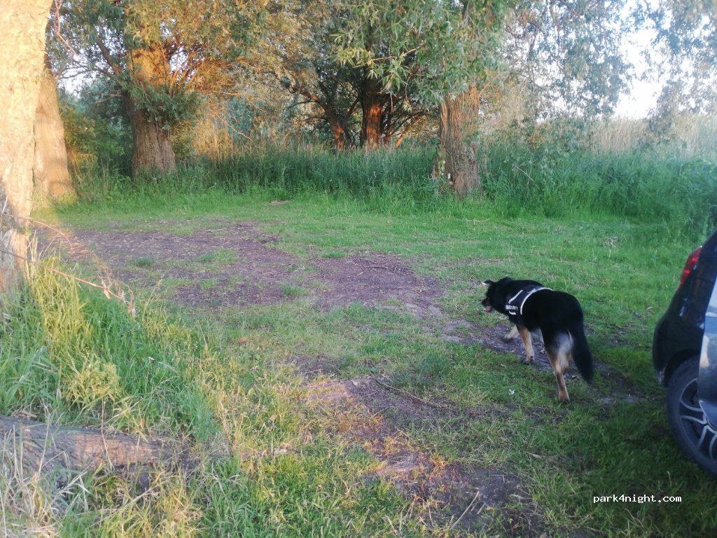 (62-105) Łekno - 12 Jeziorna — foto