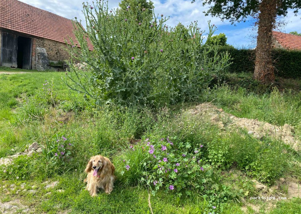 Domaine de Villateux — foto 2