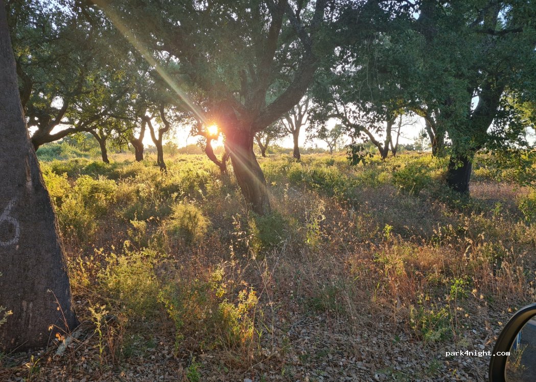 Quinta Lusco-Fusco — foto 4
