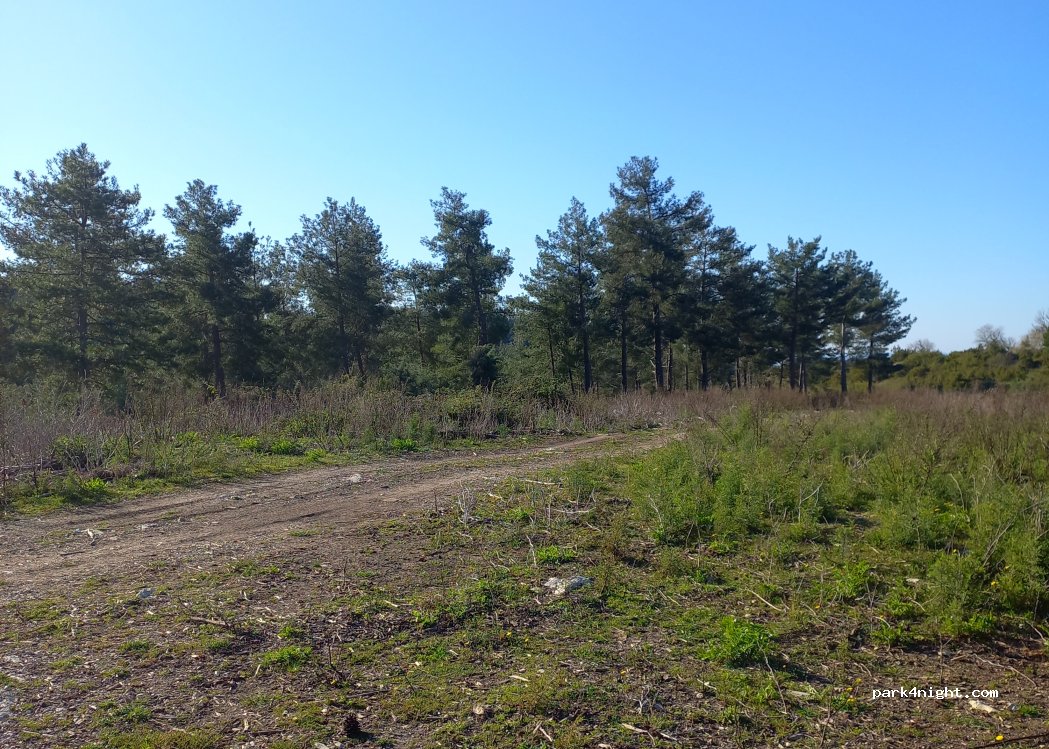 (53011) Castellina in Chianti - Strada Provinciale 76 — foto 2