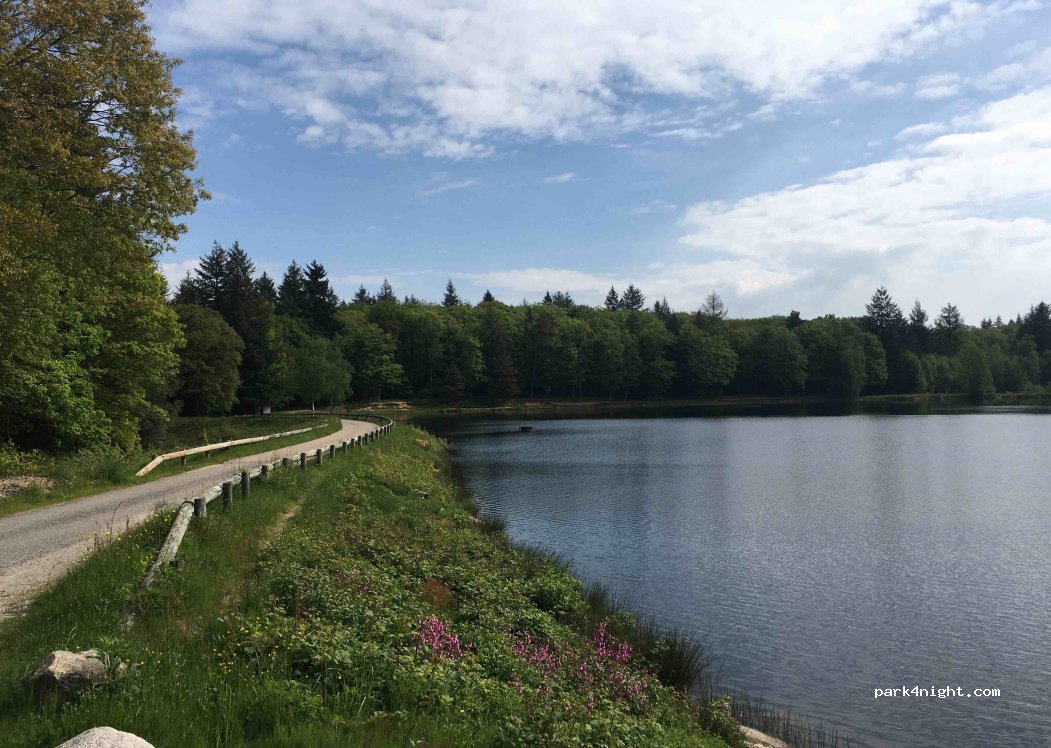 (89630) Quarré-les-Tombes - Unnamed Road — foto 2