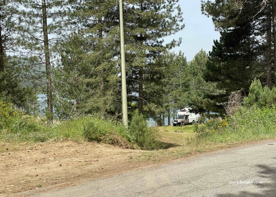 (88836) San Giovanni in Fiore - Strada Provinciale 35 — foto