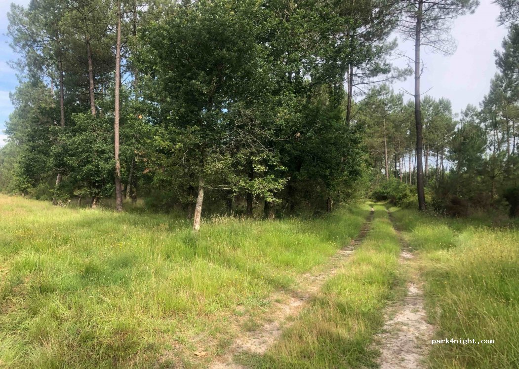 (40260) Castets - Chemin de Pilandroun — foto
