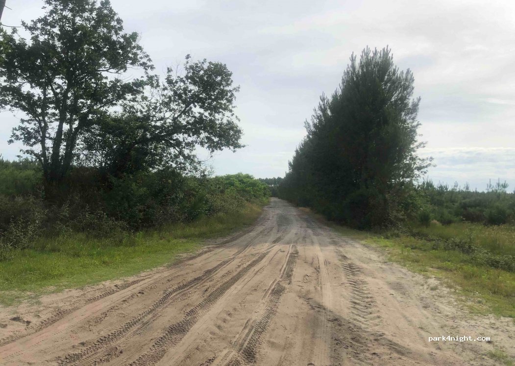 (40260) Castets - Chemin de Pilandroun — foto 2