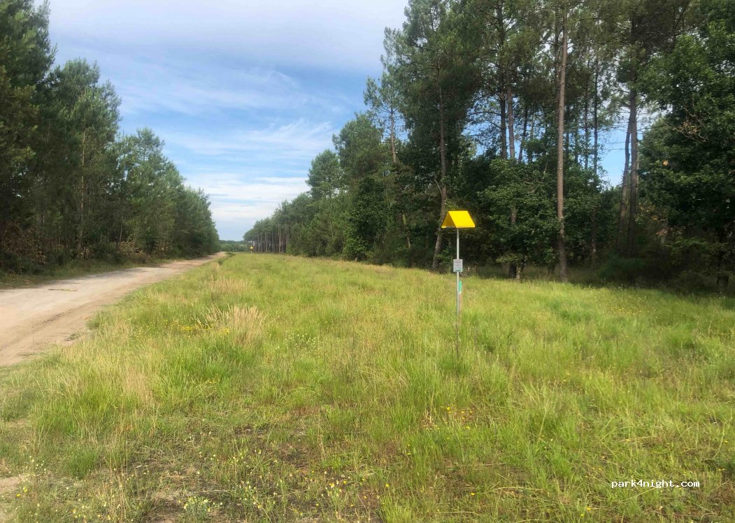 (40260) Castets - Chemin de Pilandroun — foto 3