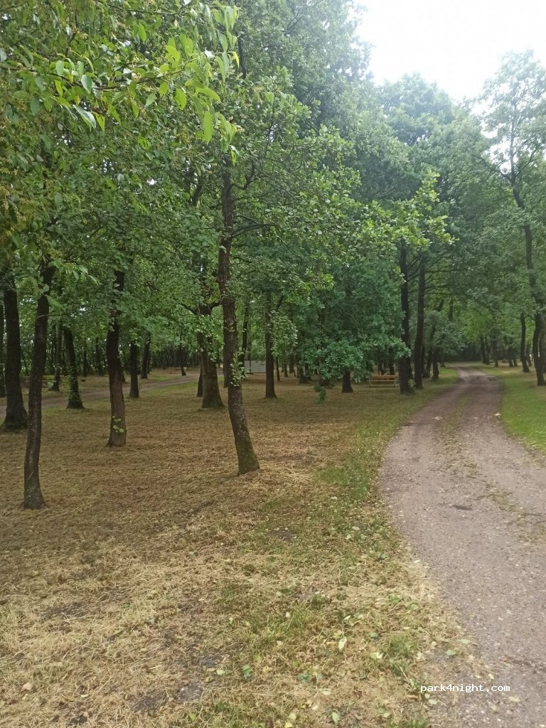 (6240) Løgumkloster - 41 Aabenraavej — foto