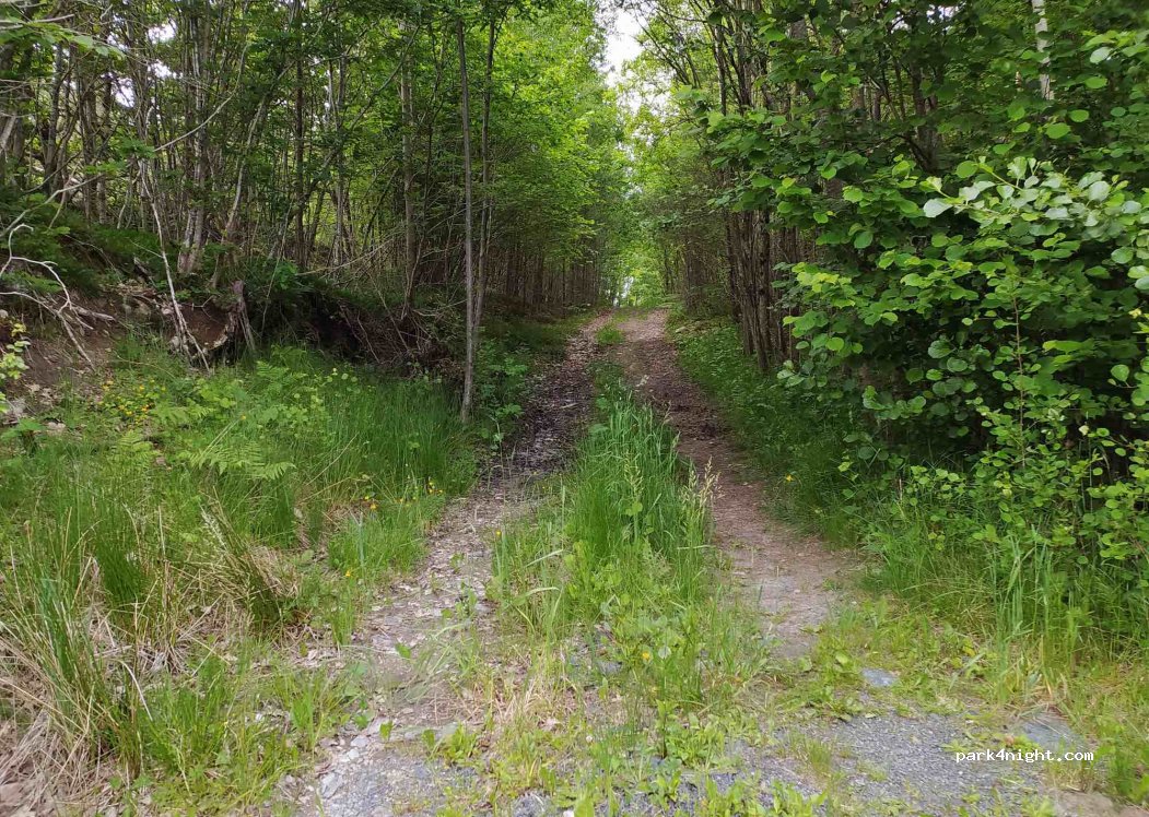(4770) Høvåg - 79 Blikssundveien — foto 3