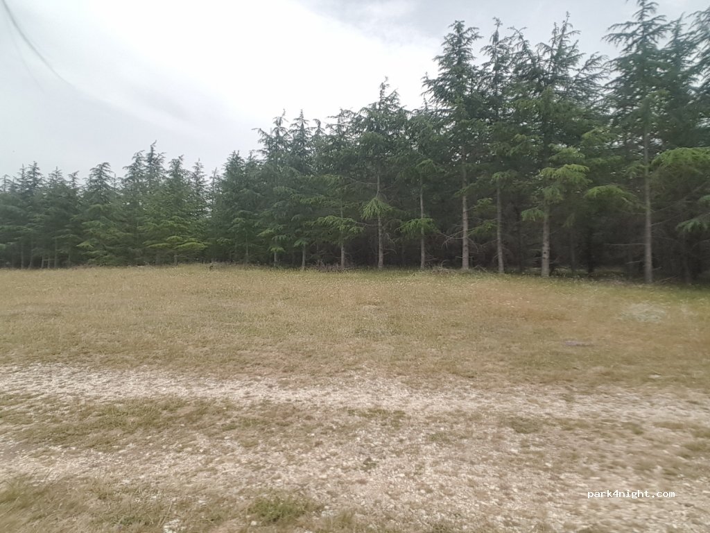 (67030) Abruzzo - Via Provinciale — foto