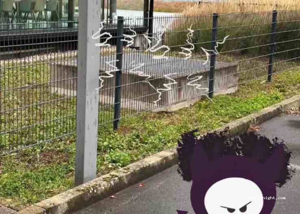 (2000) Neuchâtel - Quai Jeanrenaud (bord du lac) — foto 5