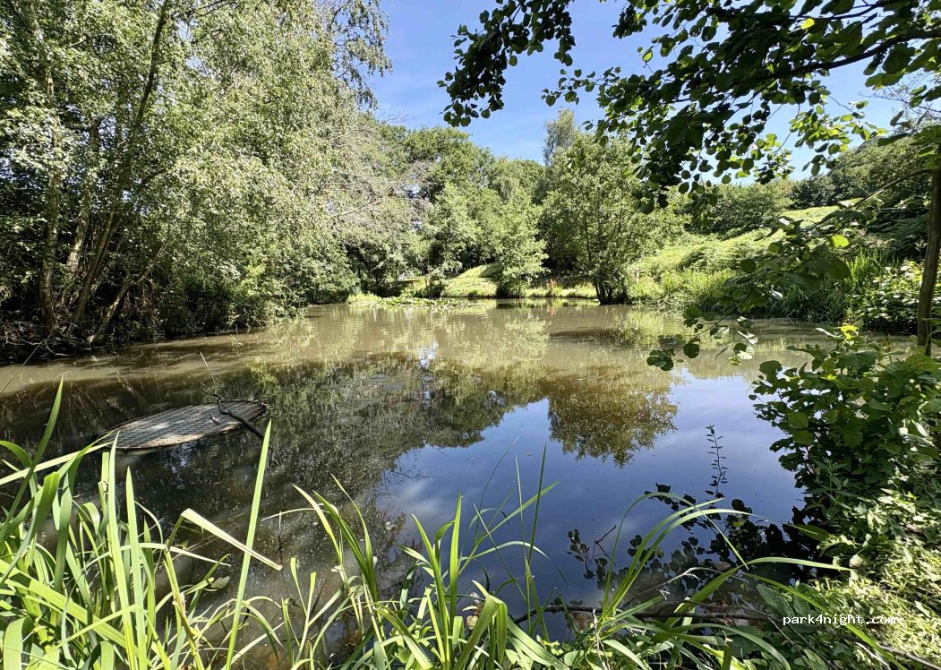 Bluebell Coppice Park — foto 5
