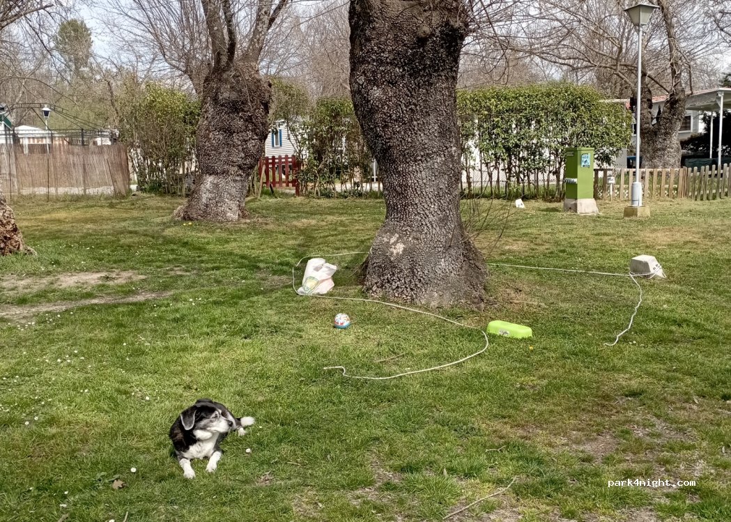 Camping D'oremor — foto 3