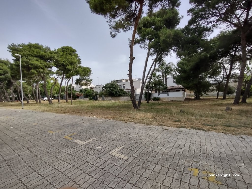 (72012) Specchiolla - 31 Via della Bontà — foto 4