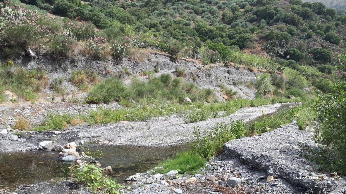 (98032) Forza d'Agrò - Strada Provinciale 19 — foto