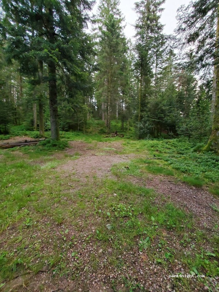 (88120) Sapois - 1 Route de la Sotière — foto