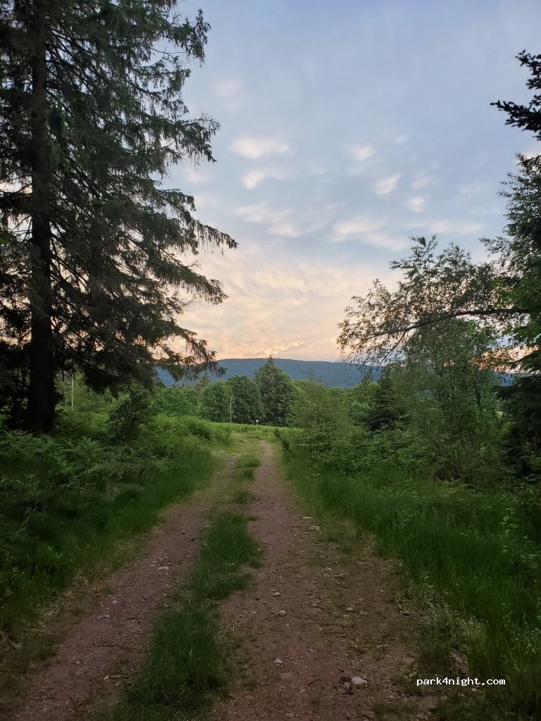 (88120) Sapois - 1 Route de la Sotière — foto 3