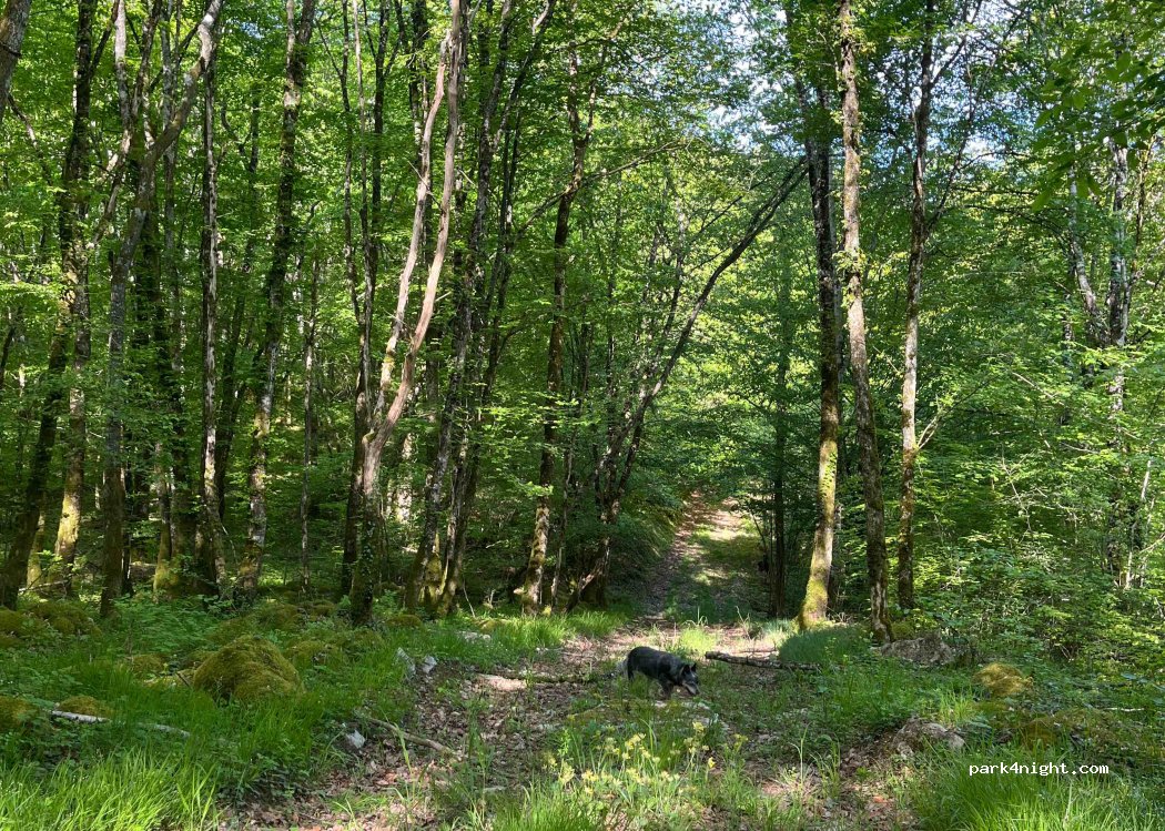 (21290) Gurgy-le-Château - D22 — foto 2