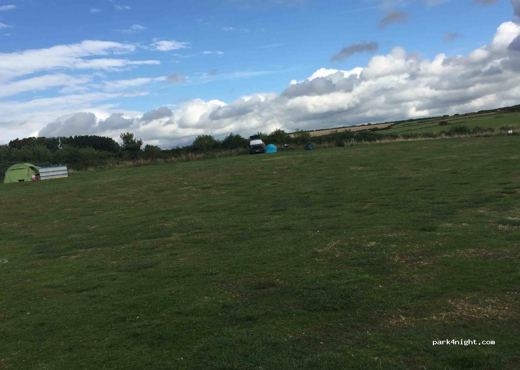 Three Golden Cups Pub and Campsite — foto 4