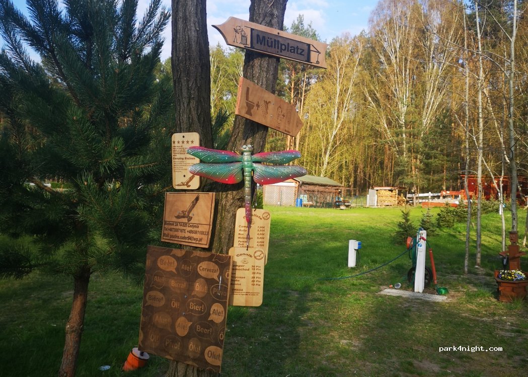 Camping Bielinek — foto 2