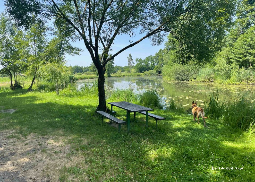 (9232) Črenšovci - Grede — foto