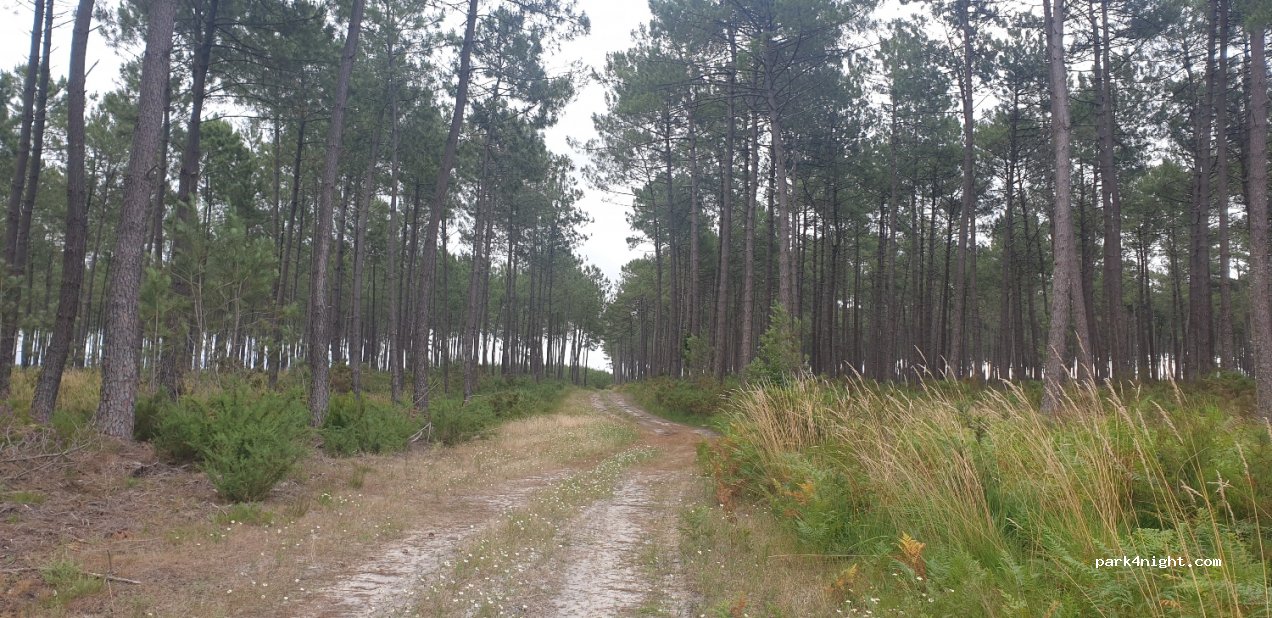 (40200) Mimizan - Unnamed Road — foto