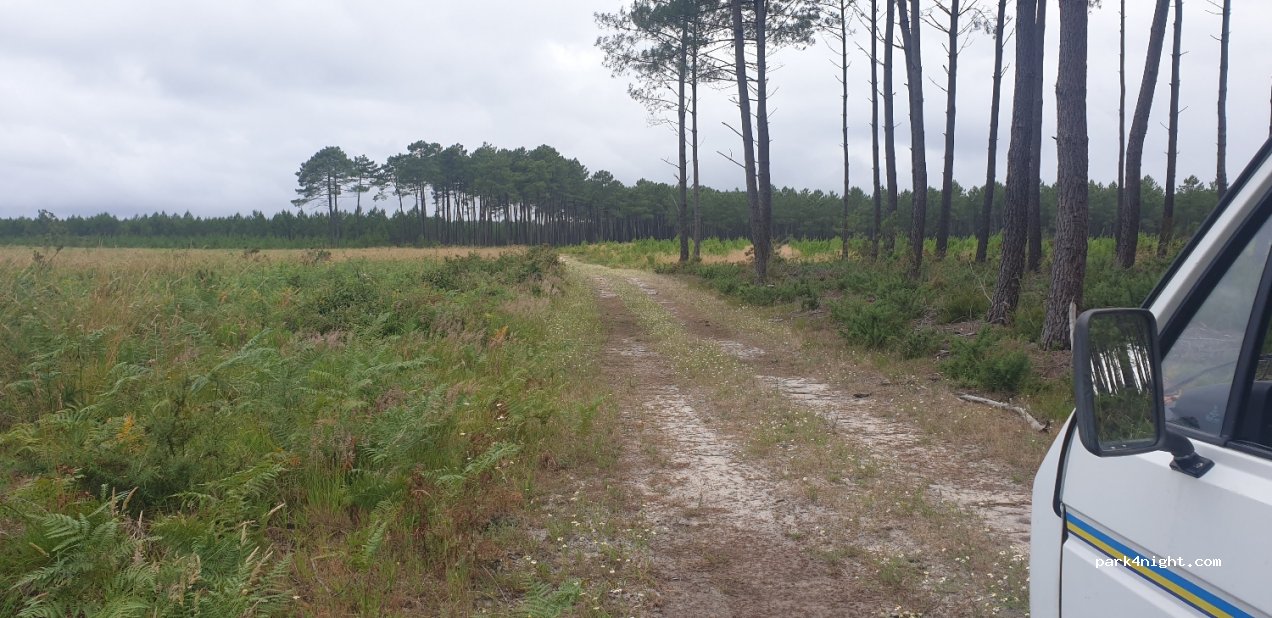 (40200) Mimizan - Unnamed Road — foto 2