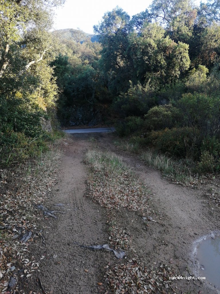 (17720) Maçanet de Cabrenys - Carretera de Maçanet de Cabrenys a la Vajol — foto