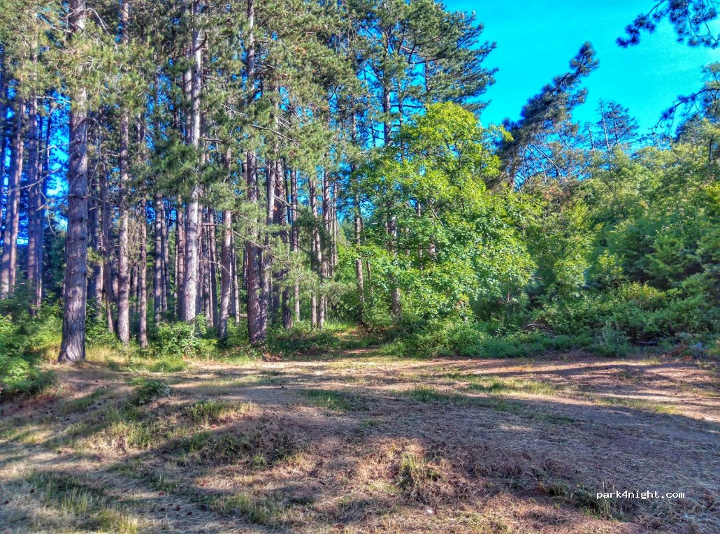 (52044) Cortona AR - Unnamed Road — foto 3