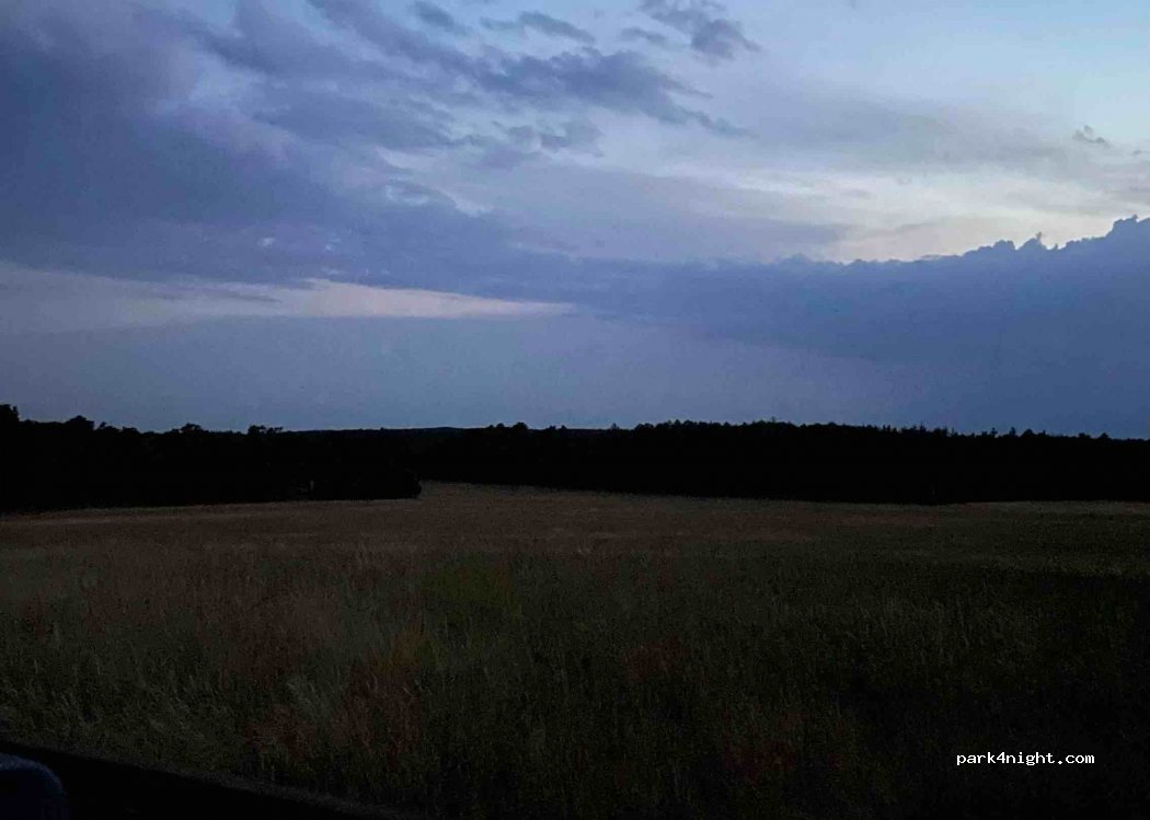 (908 77) Borský Mikuláš - Unnamed Road — foto 2