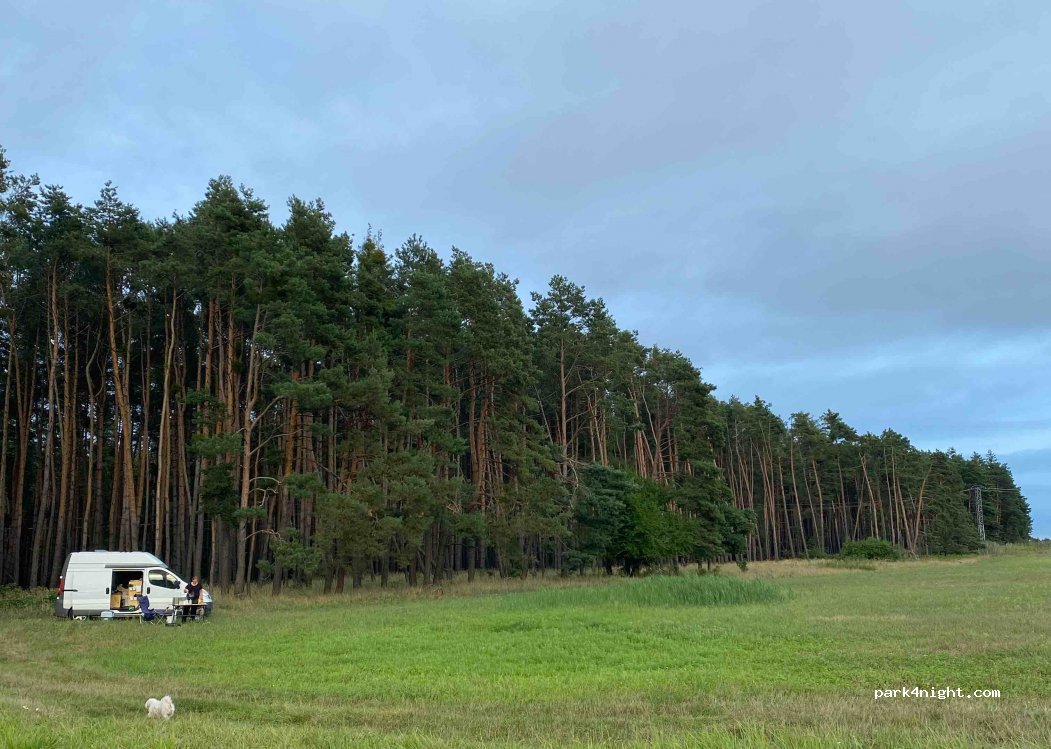 (908 77) Borský Mikuláš - Unnamed Road — foto 3