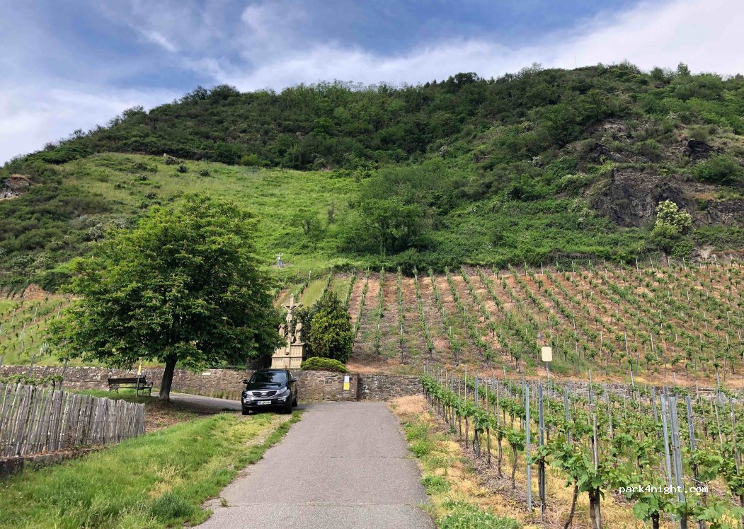 Weingut Peter Hohn — foto