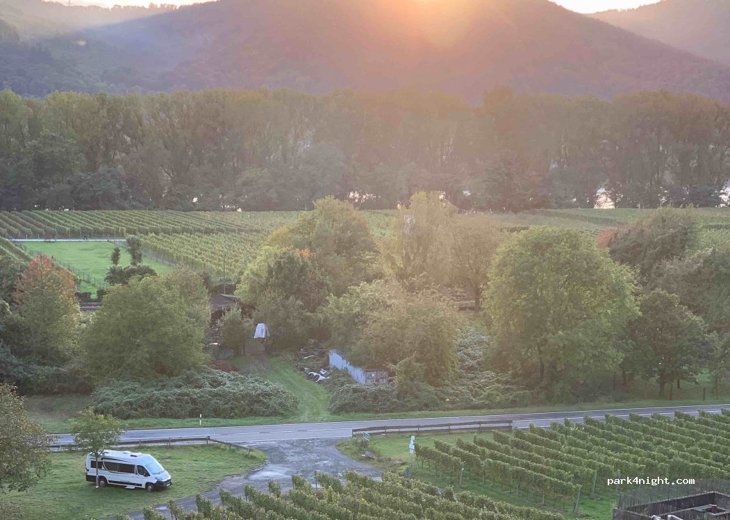 Weingut Peter Hohn — foto 2