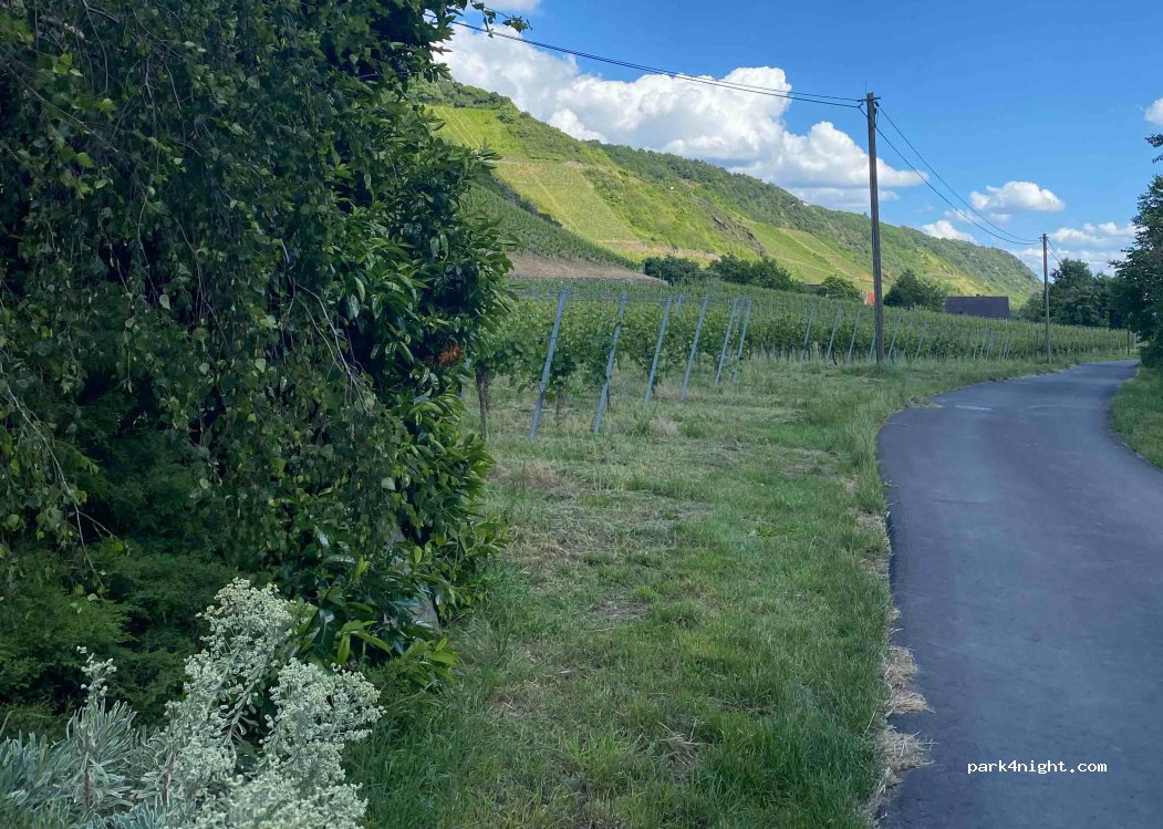 Weingut Peter Hohn — foto 3