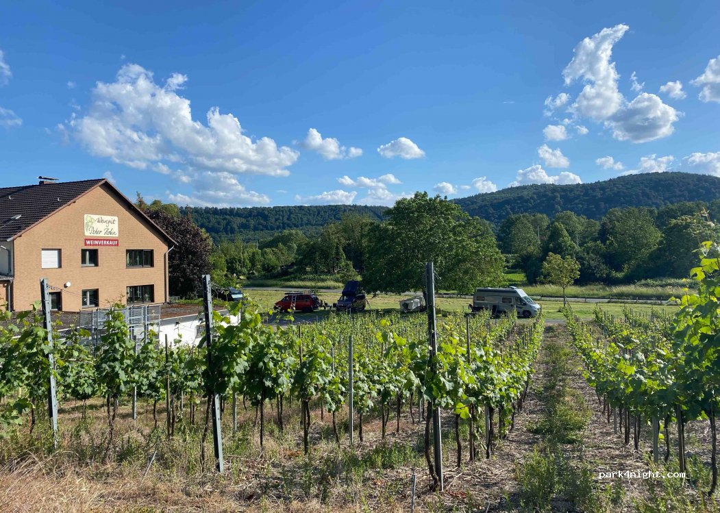 Weingut Peter Hohn — foto 4