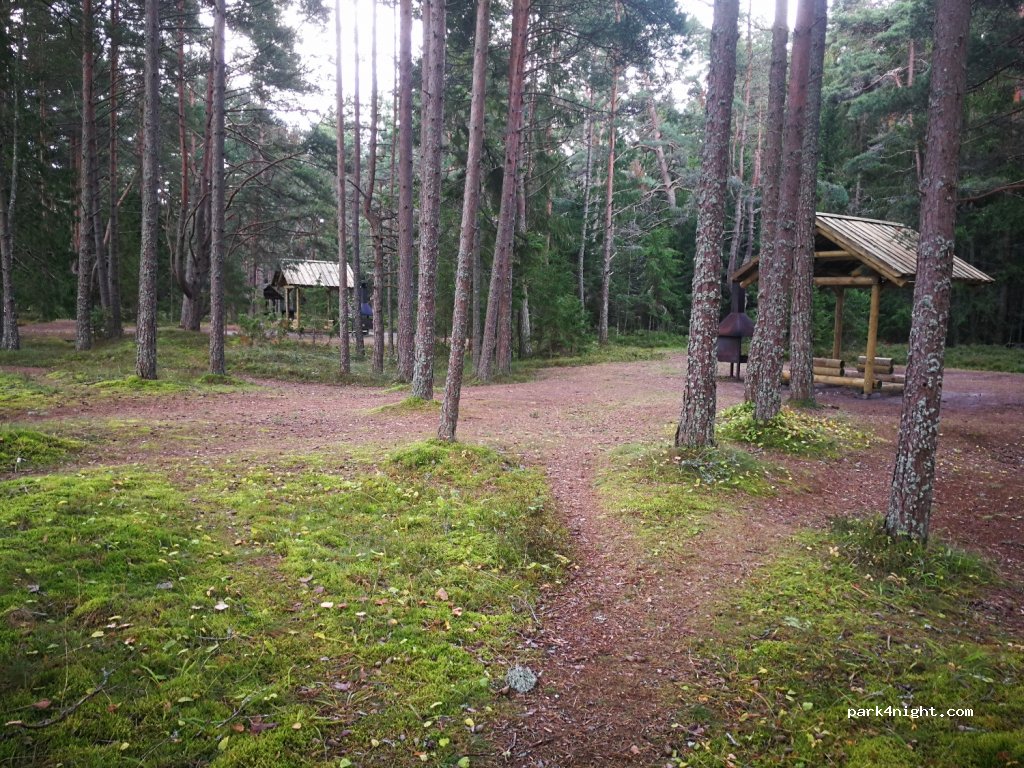 (92350) Tareste - Unnamed Road — foto