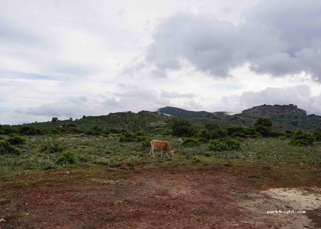 (08040) Urzulei NU - Unnamed Road — foto 4
