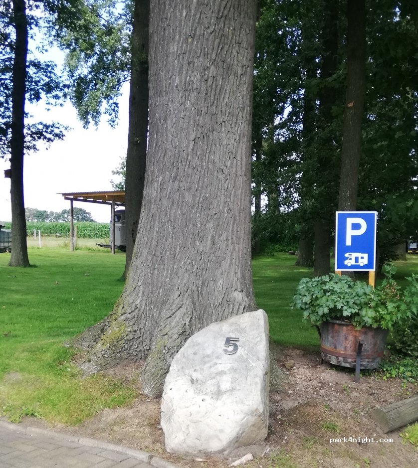 (46354) Südlohn - 5 Wienkamp Links — foto 2