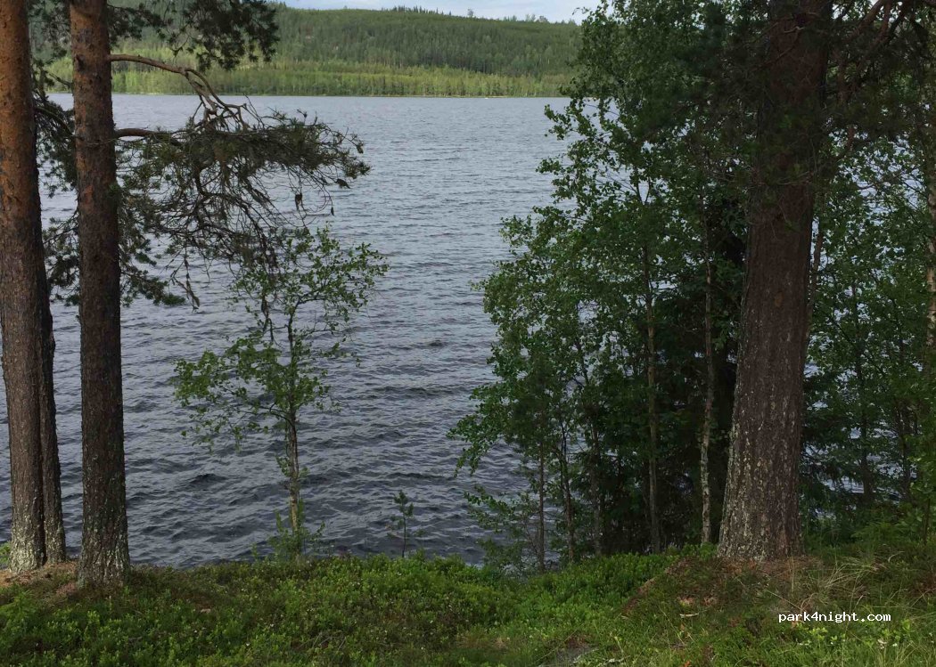 (921 93) Tallträsk - 360 — foto