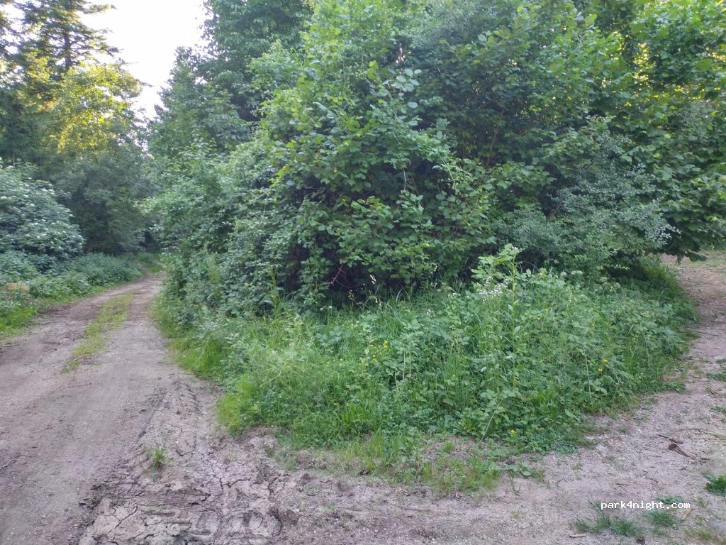 (1380) Cerknica - Podskrajnik — foto