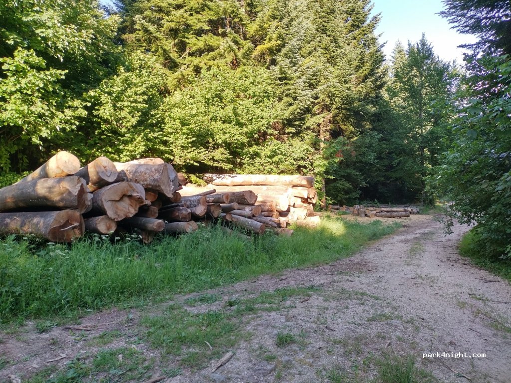 (1380) Cerknica - Podskrajnik — foto 3