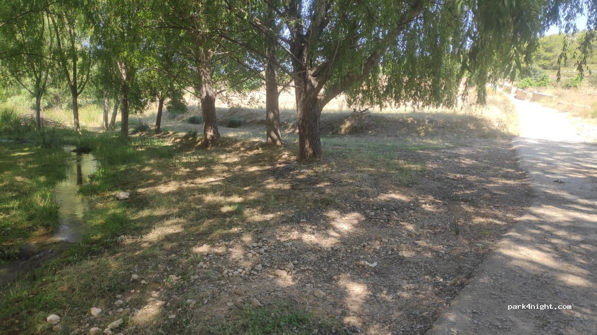 (02437) Socovos - CM-3217 — foto