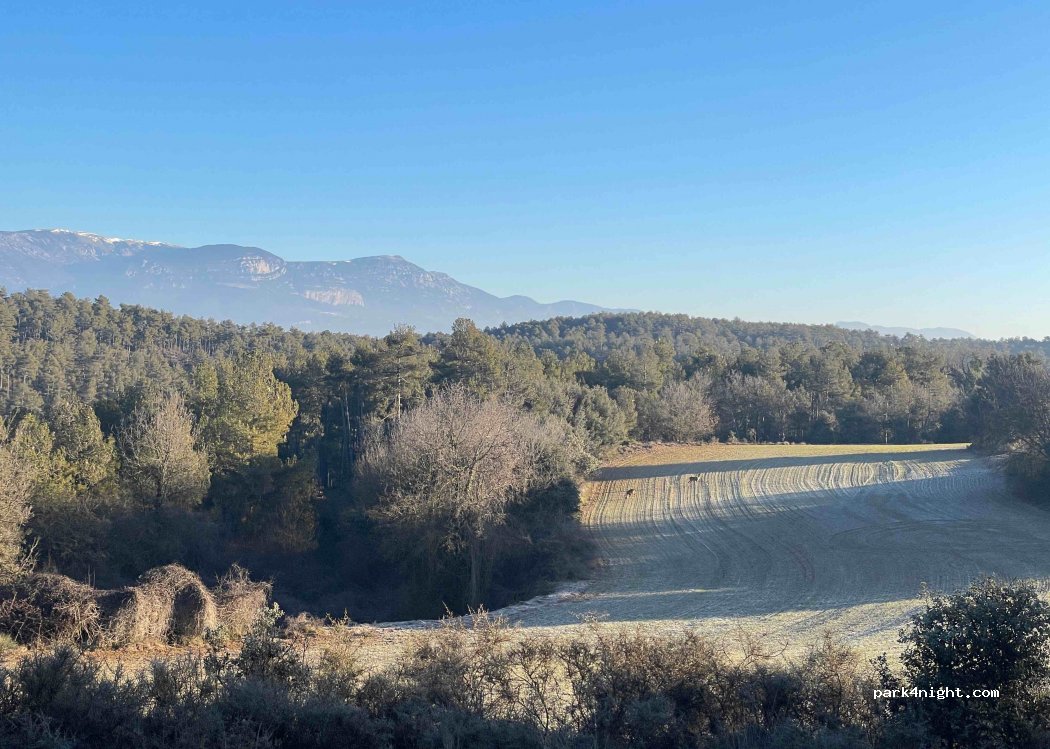 (25289) Castellar de la Ribera - Camí de les Grioles — foto 3