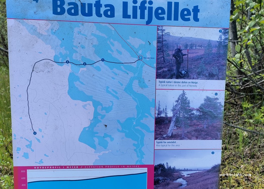 (7882) Nordli - 976 Lifjellveien — foto 3