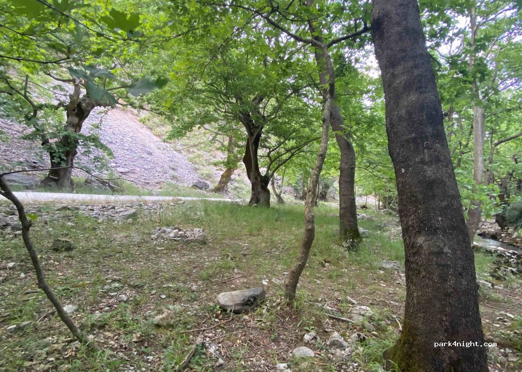 (420 32) Pili - Eparchiaki Odos Paleokarias-Ropotou — foto